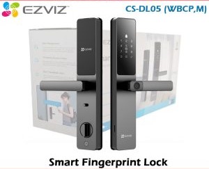 DL05 (CS-CL05-R100-WBCP-GR)